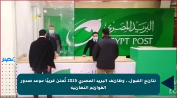 نتائج القبول.. وظائف البريد المصري 2025 تُعلن قريبًا موعد صدور القوائم النهائية